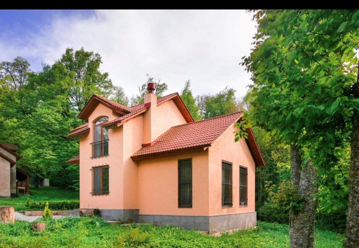 Dilijan Dream House! 3 Bedroom Amazing Villa In National Park! Exteriör bild